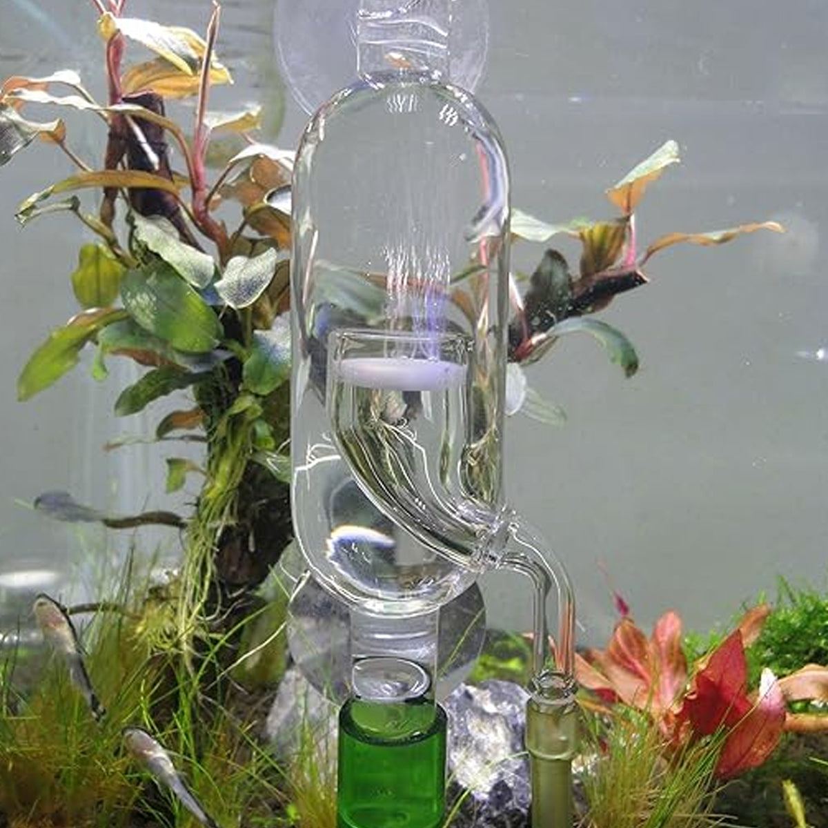 CO2 Carbon Dioxide Refiner Glass Diffuser for Aquarium Plants