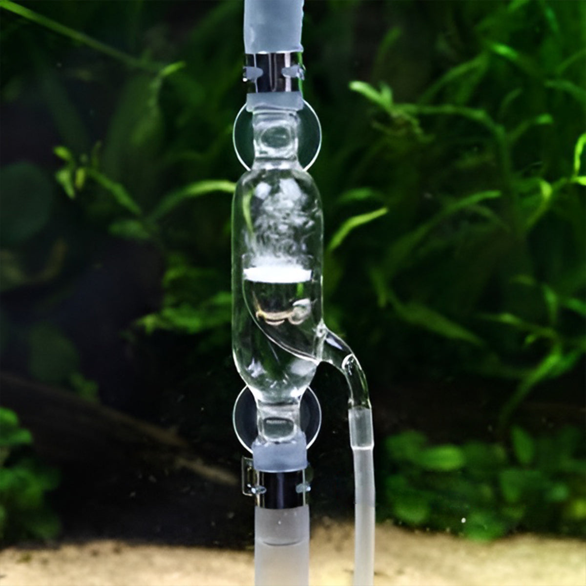 CO2 Carbon Dioxide Refiner Glass Diffuser for Aquarium Plants