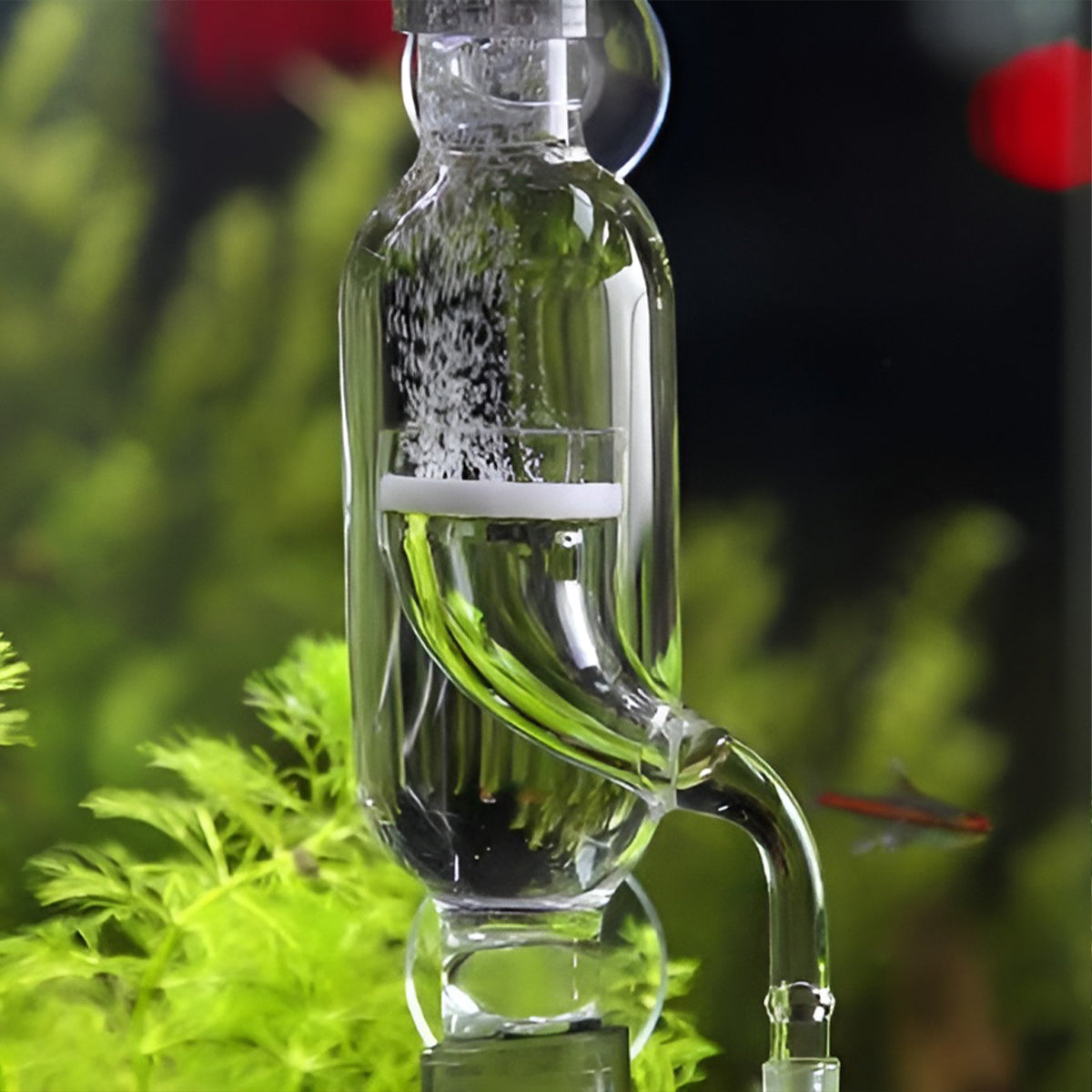 CO2 Carbon Dioxide Refiner Glass Diffuser for Aquarium Plants