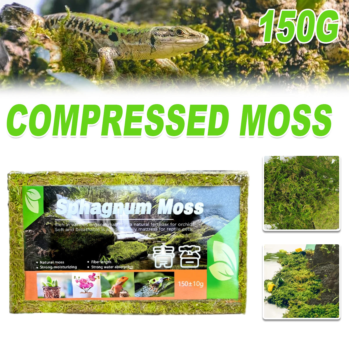 Compressed Natural Moss Mat For Reptiles Terrariums Humidity Control