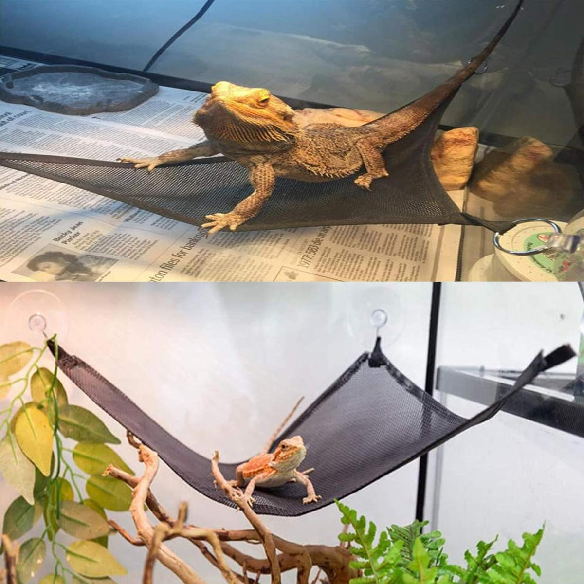 Reptile Hammock Set 2PCS Breathable Mesh With Suction Cups