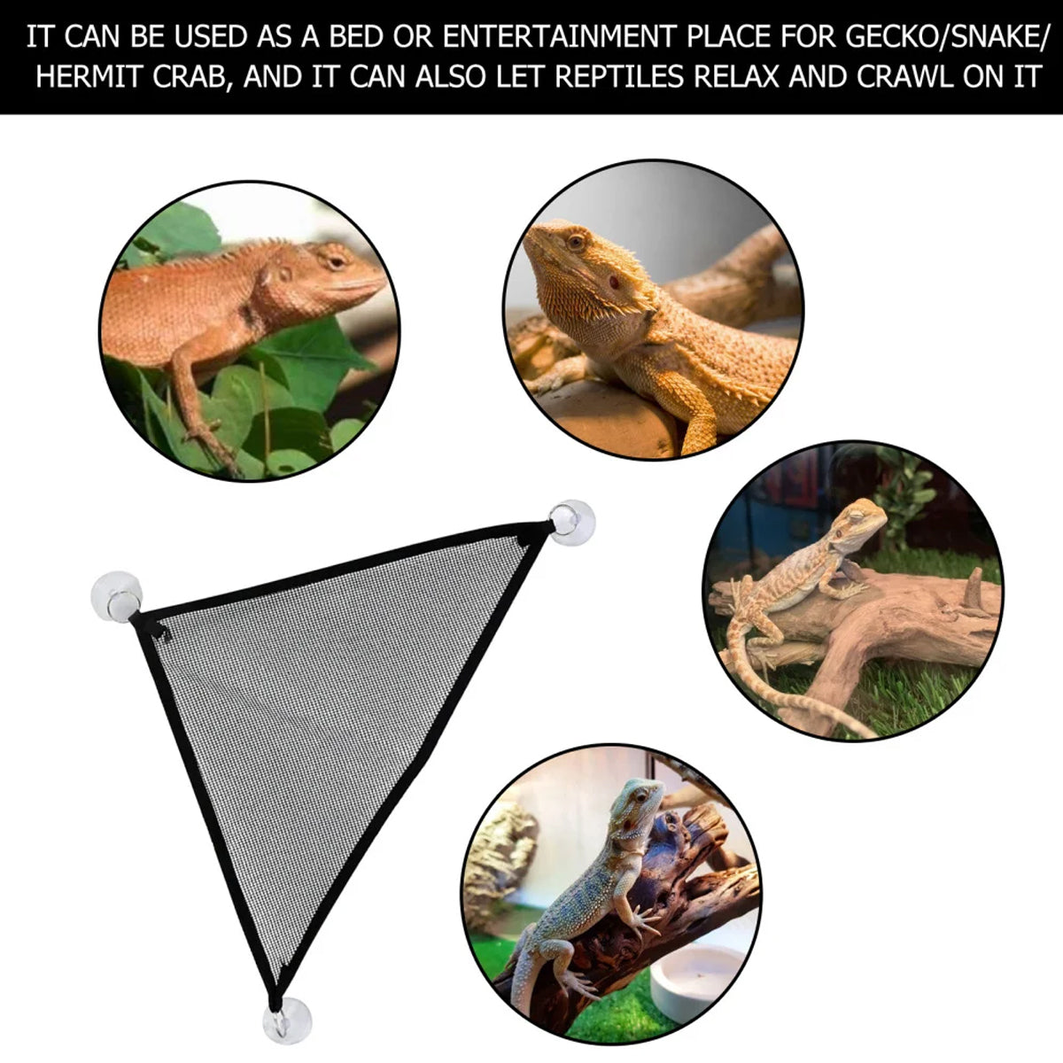 Reptile Hammock Set 2PCS Breathable Mesh With Suction Cups