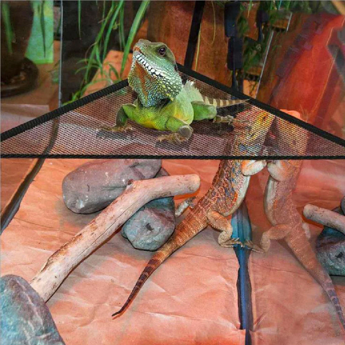 Reptile Hammock Set 2PCS Breathable Mesh With Suction Cups