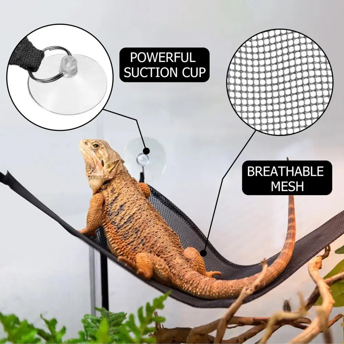 Reptile Hammock Set 2PCS Breathable Mesh With Suction Cups