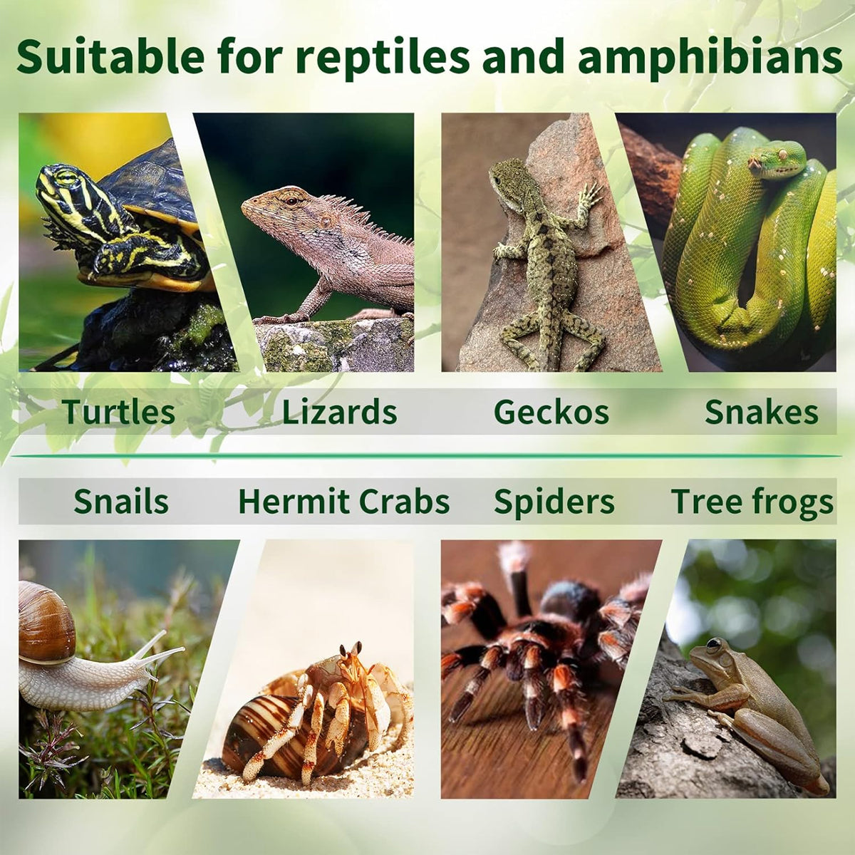 Natural Fiber Coconut Soil Pet Bedding Blocks Safe for Reptiles & Amphibians