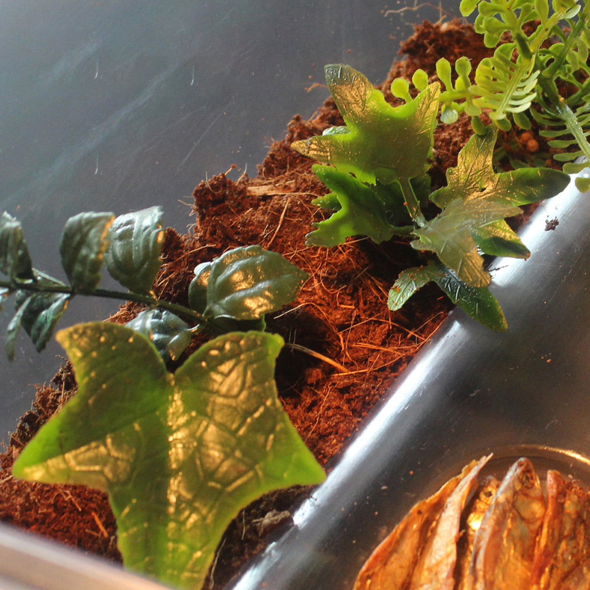 Natural Fiber Coconut Soil Pet Bedding Blocks Safe for Reptiles & Amphibians
