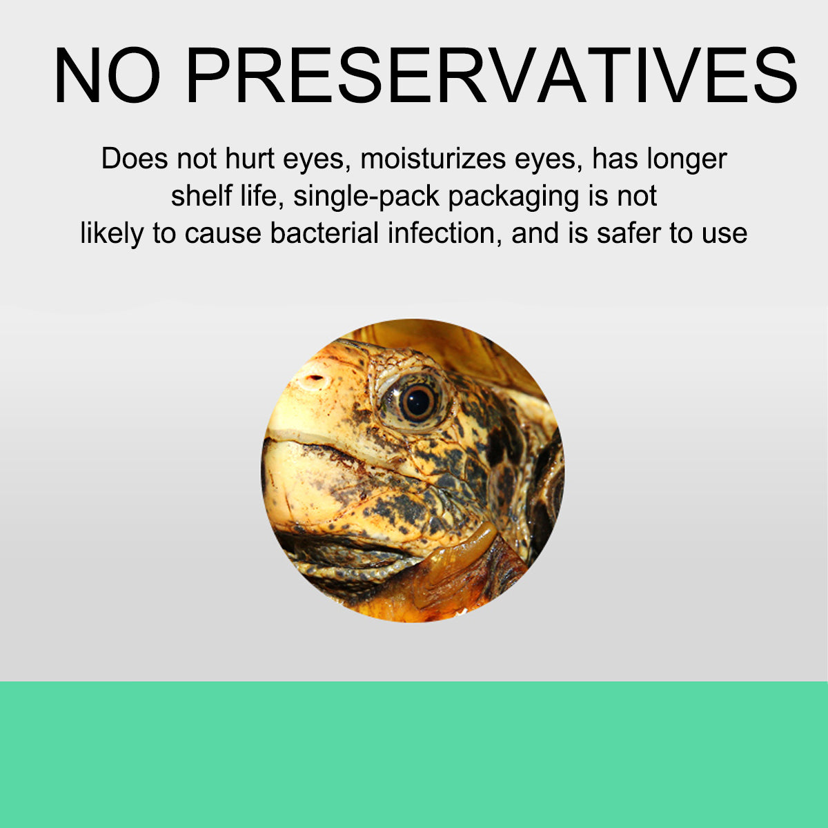 Reptile Eye Drops for Redness and Swelling Relief
