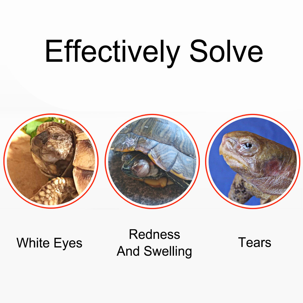 Reptile Eye Drops for Redness and Swelling Relief