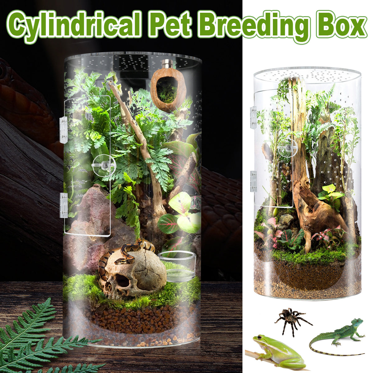 Cylindrical Acrylic Pet Breeding Box