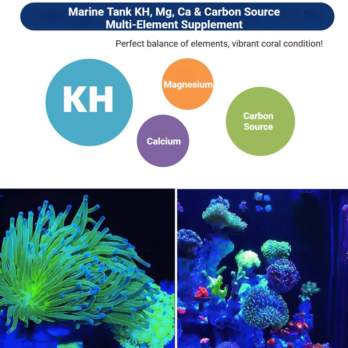 D4 Aquarium Dosing Pump 4-Head Automatic System