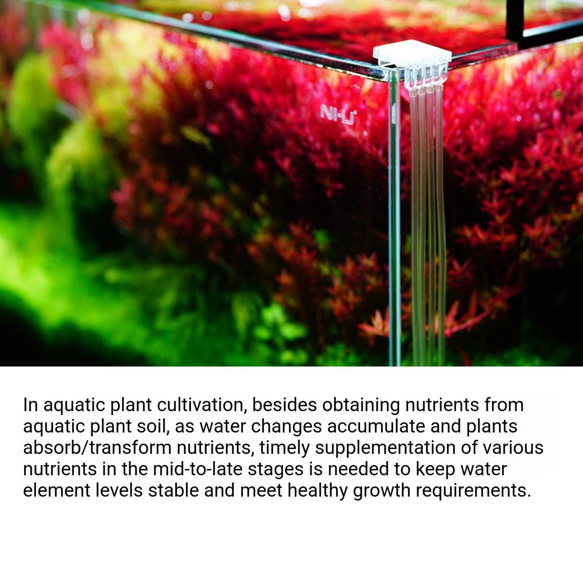 D4 Aquarium Dosing Pump 4-Head Automatic System