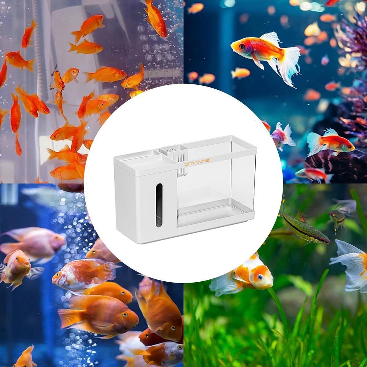 Desktop Fish Tank Tissue Box Aquarium