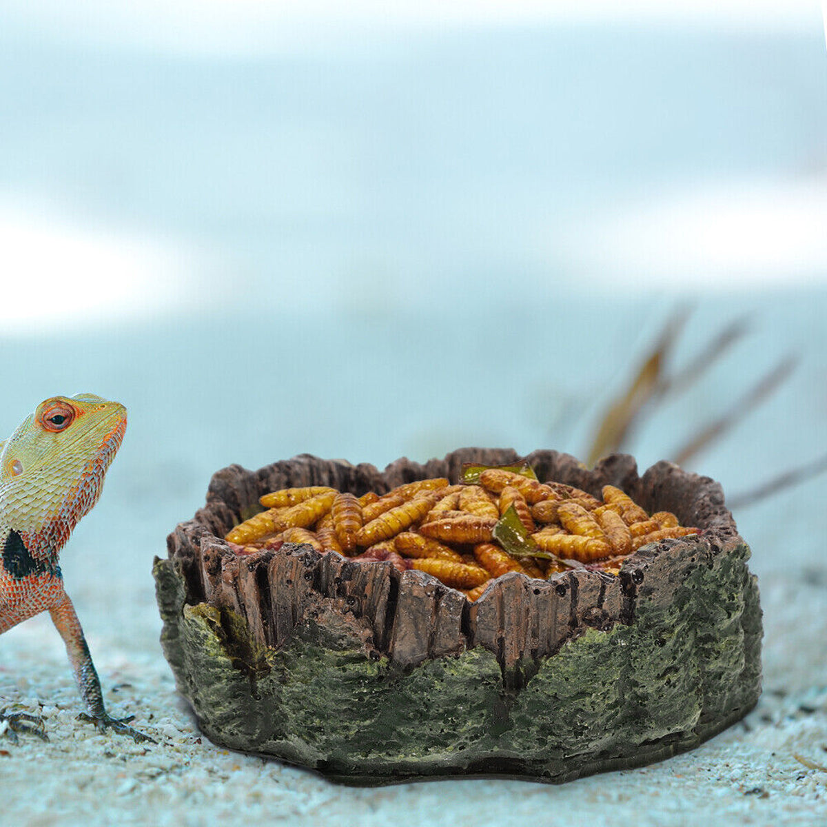 Resin Reptile Drinking Basin Wood Grain Water & Food Dish