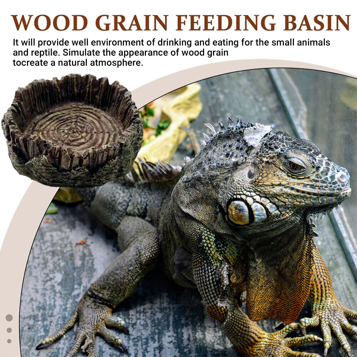 Resin Reptile Drinking Basin Wood Grain Water & Food Dish