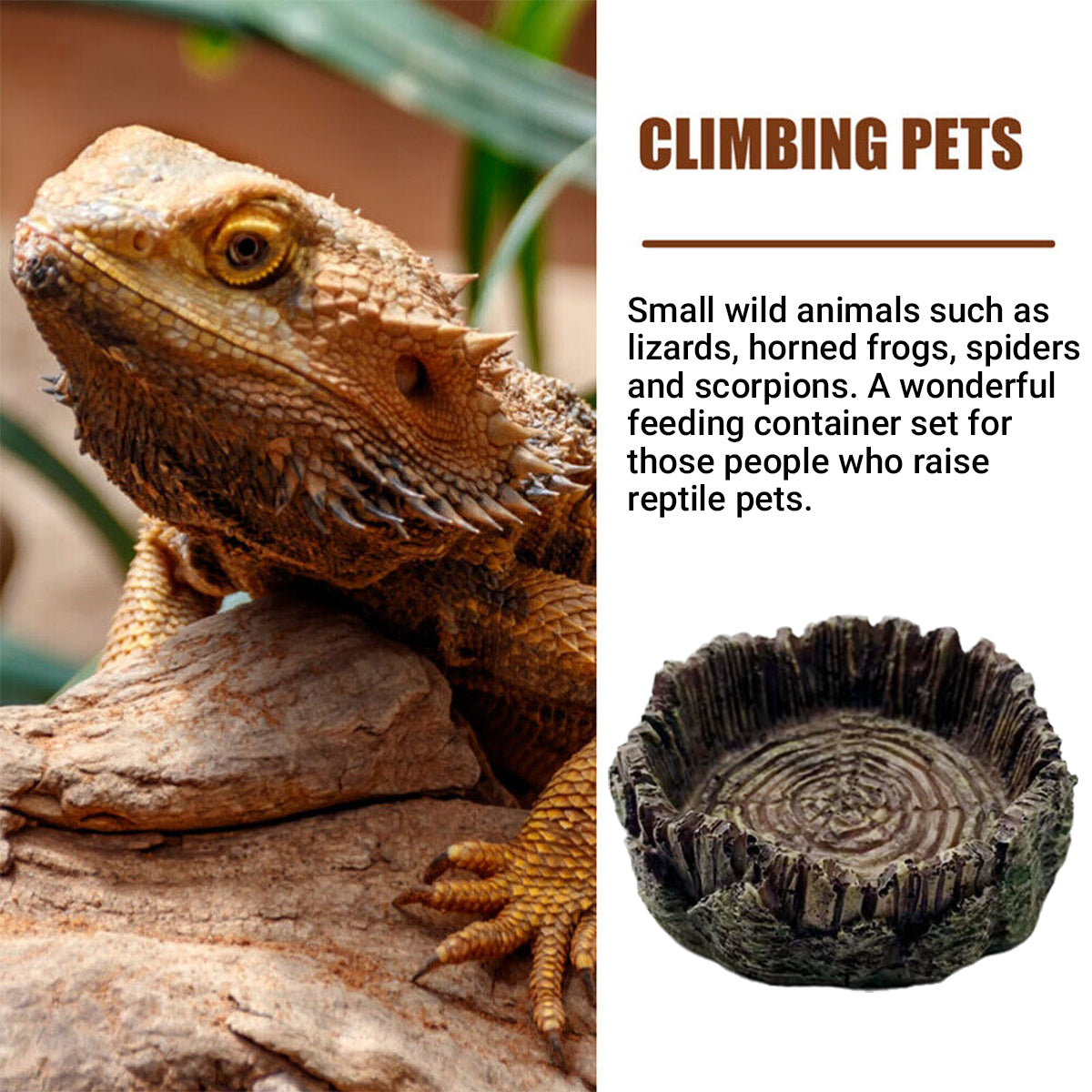 Resin Reptile Drinking Basin Wood Grain Water & Food Dish