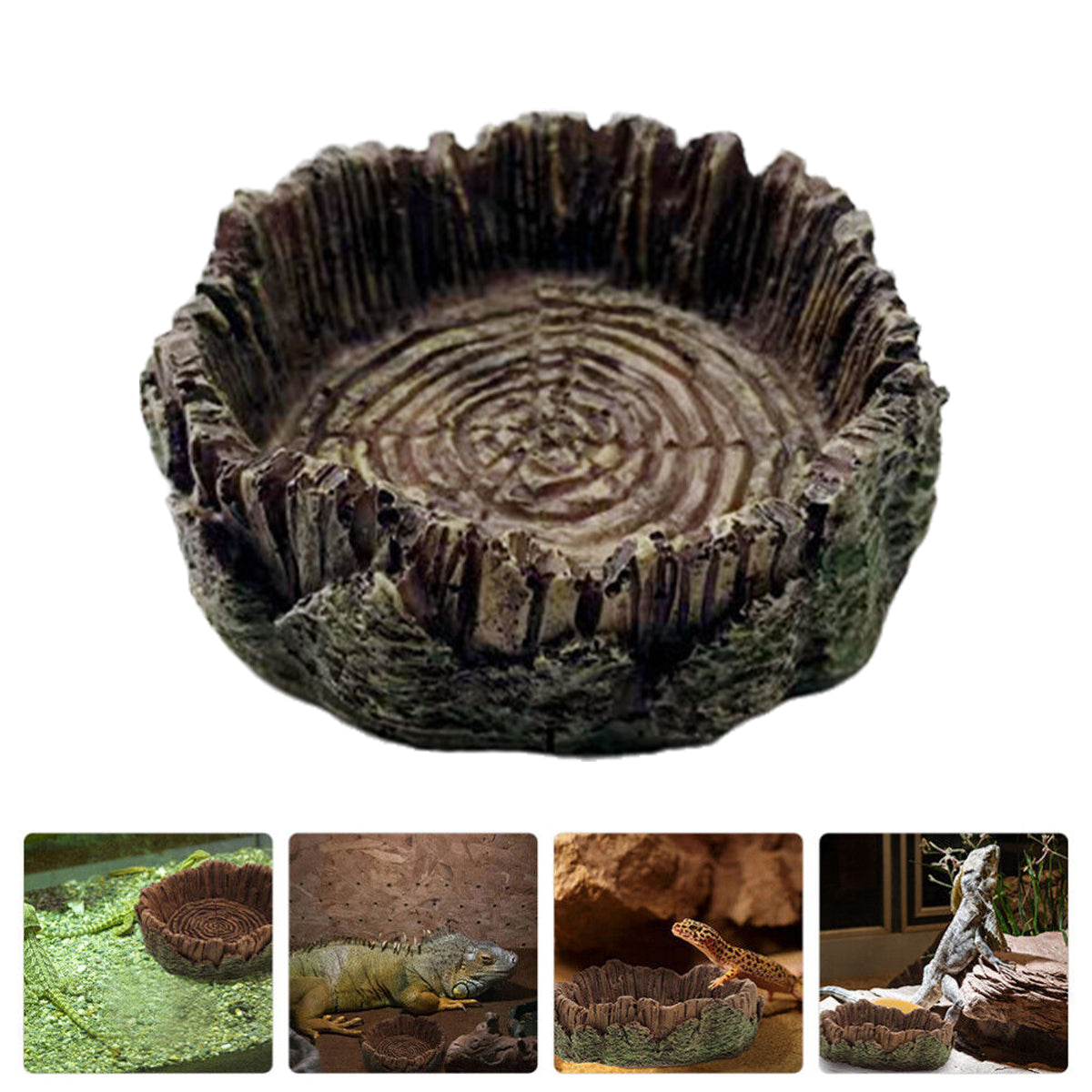 Resin Reptile Drinking Basin Wood Grain Water & Food Dish