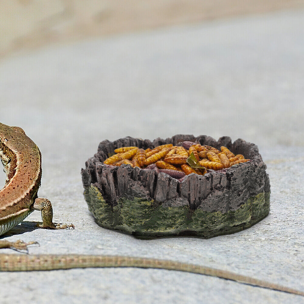 Resin Reptile Drinking Basin Wood Grain Water & Food Dish