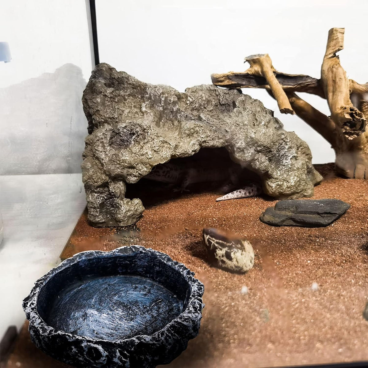 2 Pack Resin Reptile Feeding Dish Set