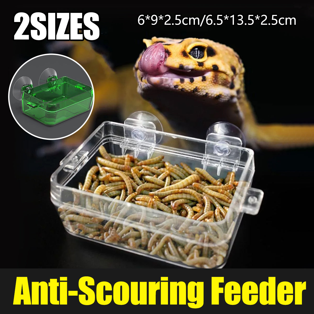 Reptile Feeder Bowl Anti Escape Acrylic Dish For Geckos Lizards