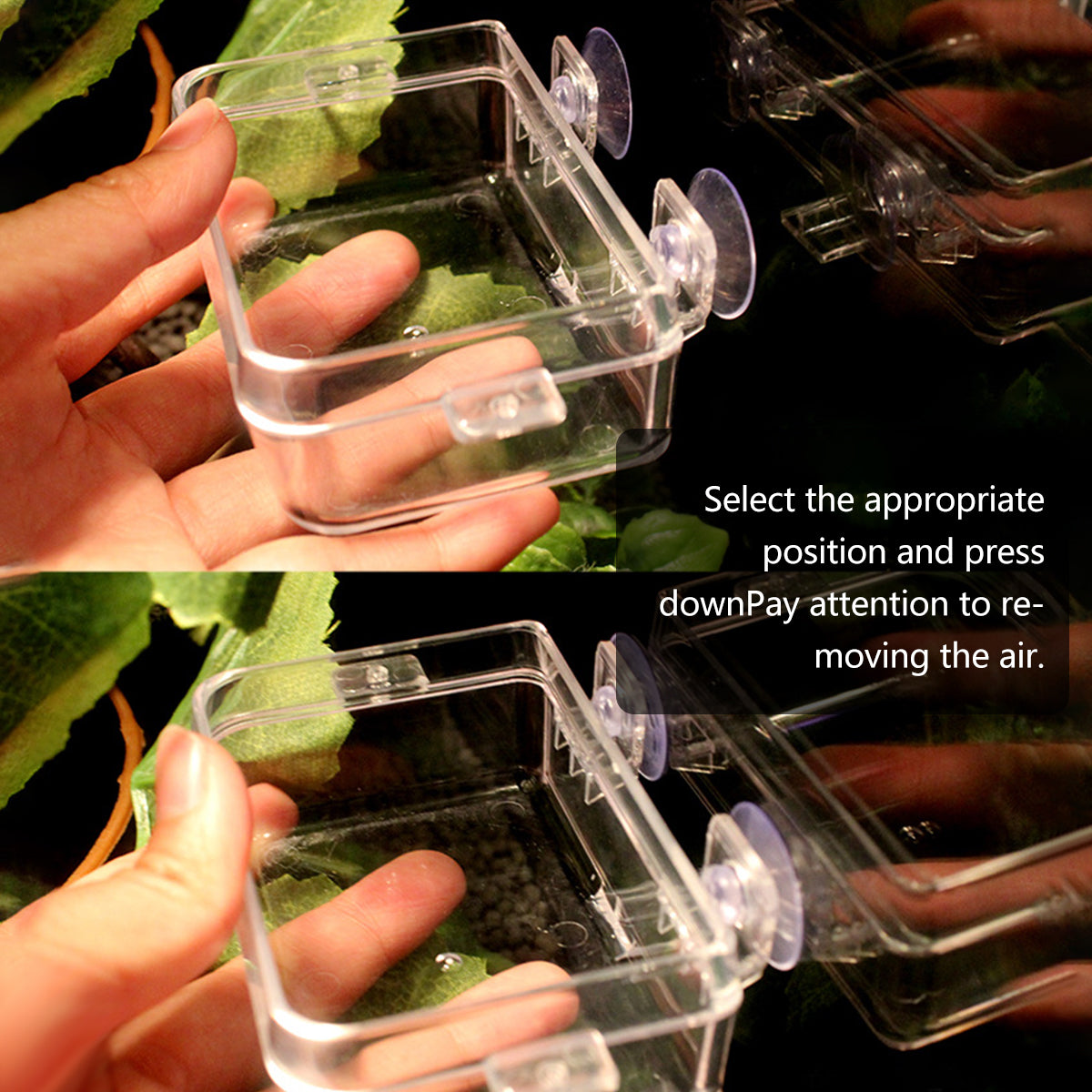 Reptile Feeder Bowl Anti Escape Acrylic Dish For Geckos Lizards