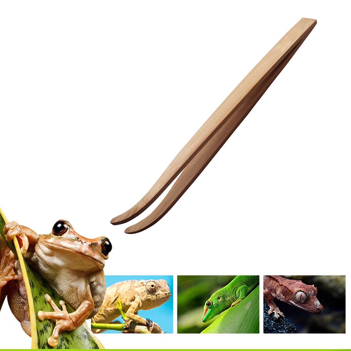 Bamboo Reptile Feeding Tongs Tweezers Tool for Lizards & Frogs