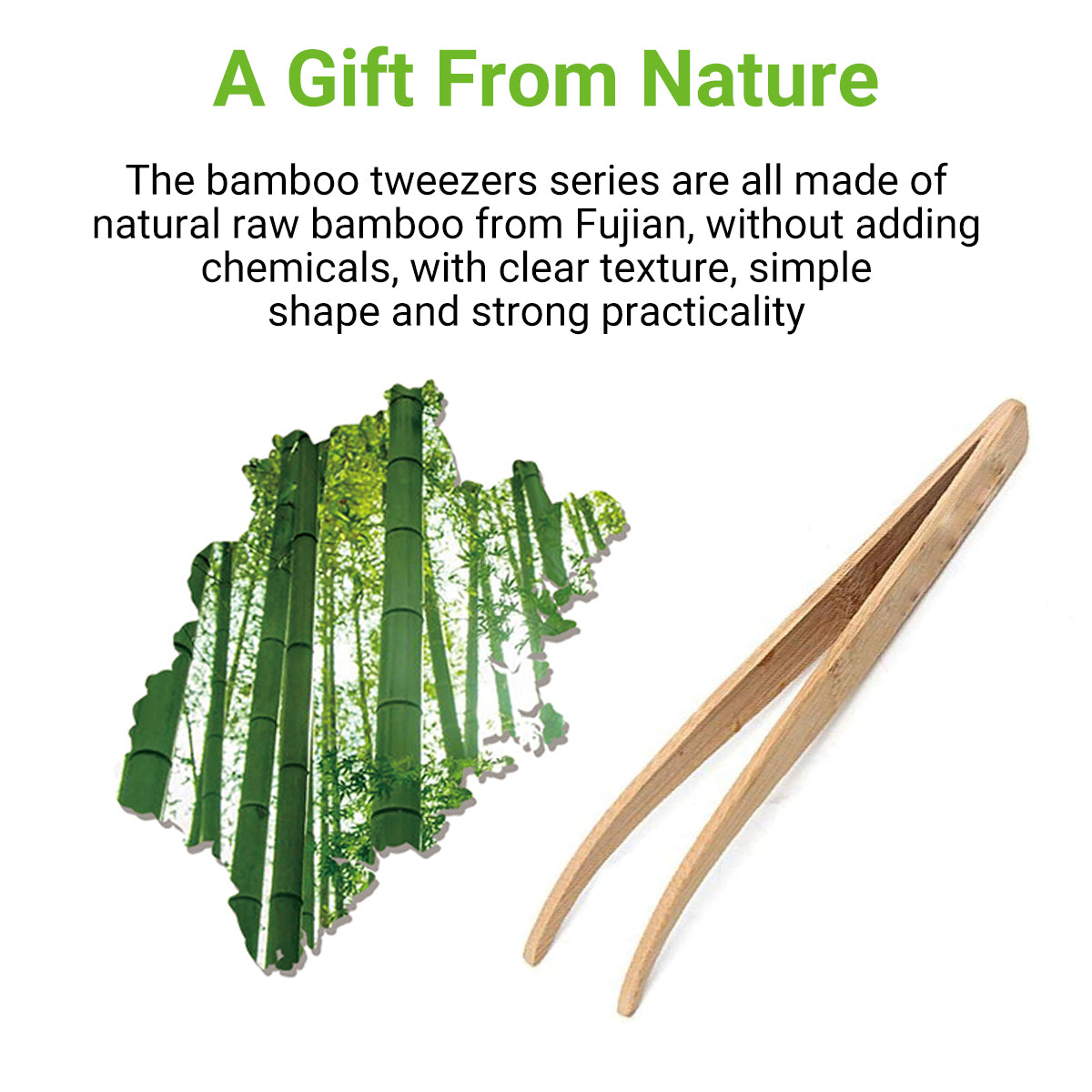 Bamboo Reptile Feeding Tongs Tweezers Tool for Lizards & Frogs