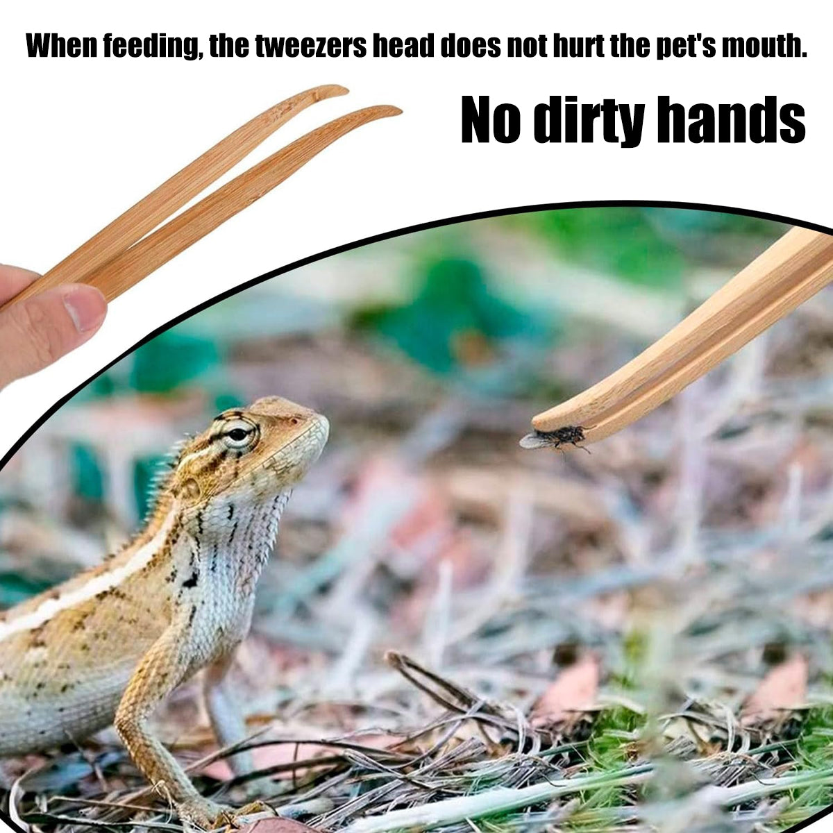 Bamboo Reptile Feeding Tongs Tweezers Tool for Lizards & Frogs