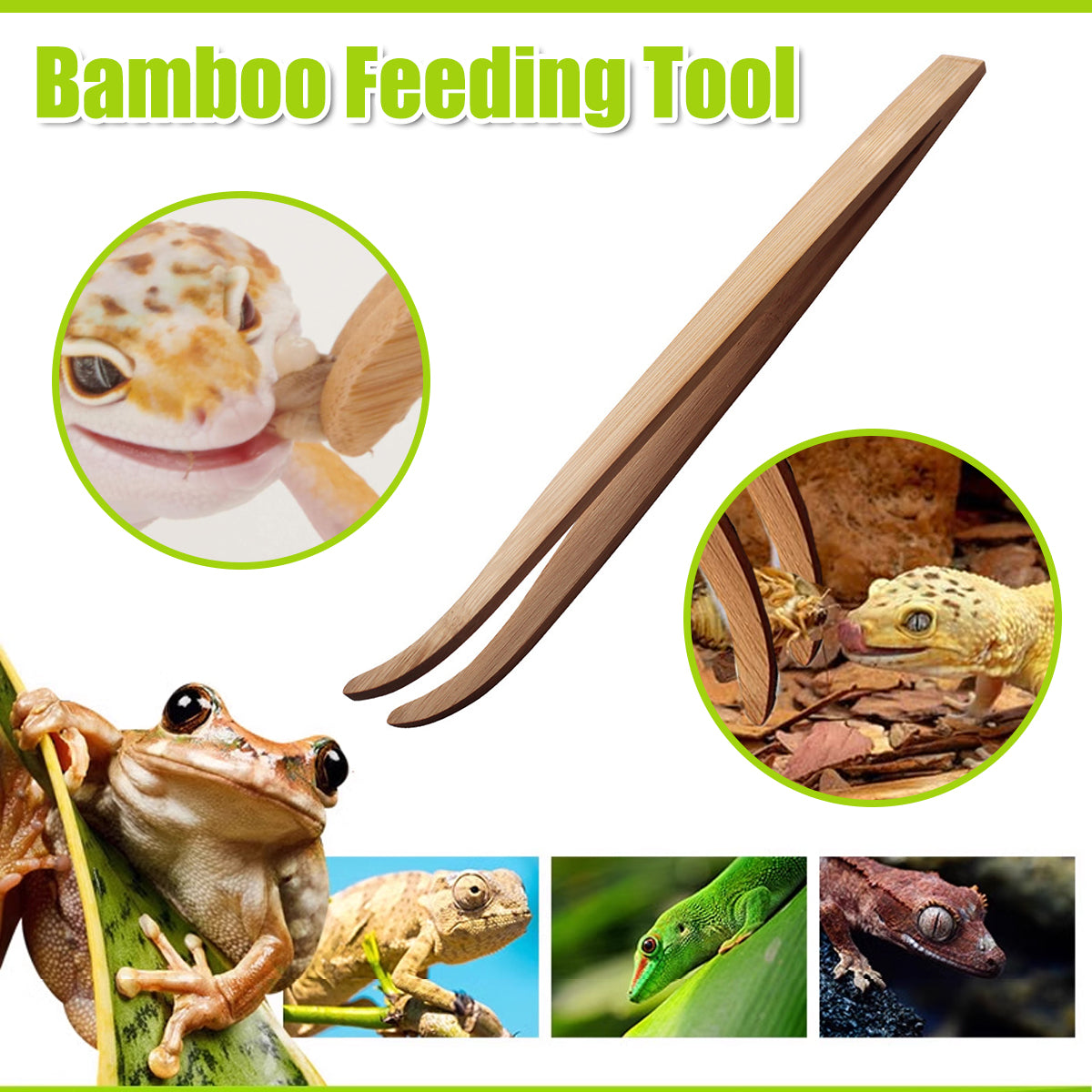 Bamboo Reptile Feeding Tongs Tweezers Tool for Lizards & Frogs