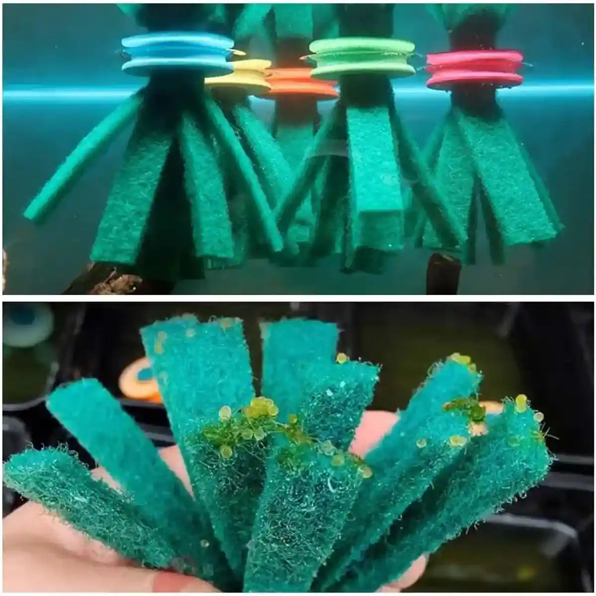 Fish Egg Collector 10PCS Aquarium Breeding Spawning Mop