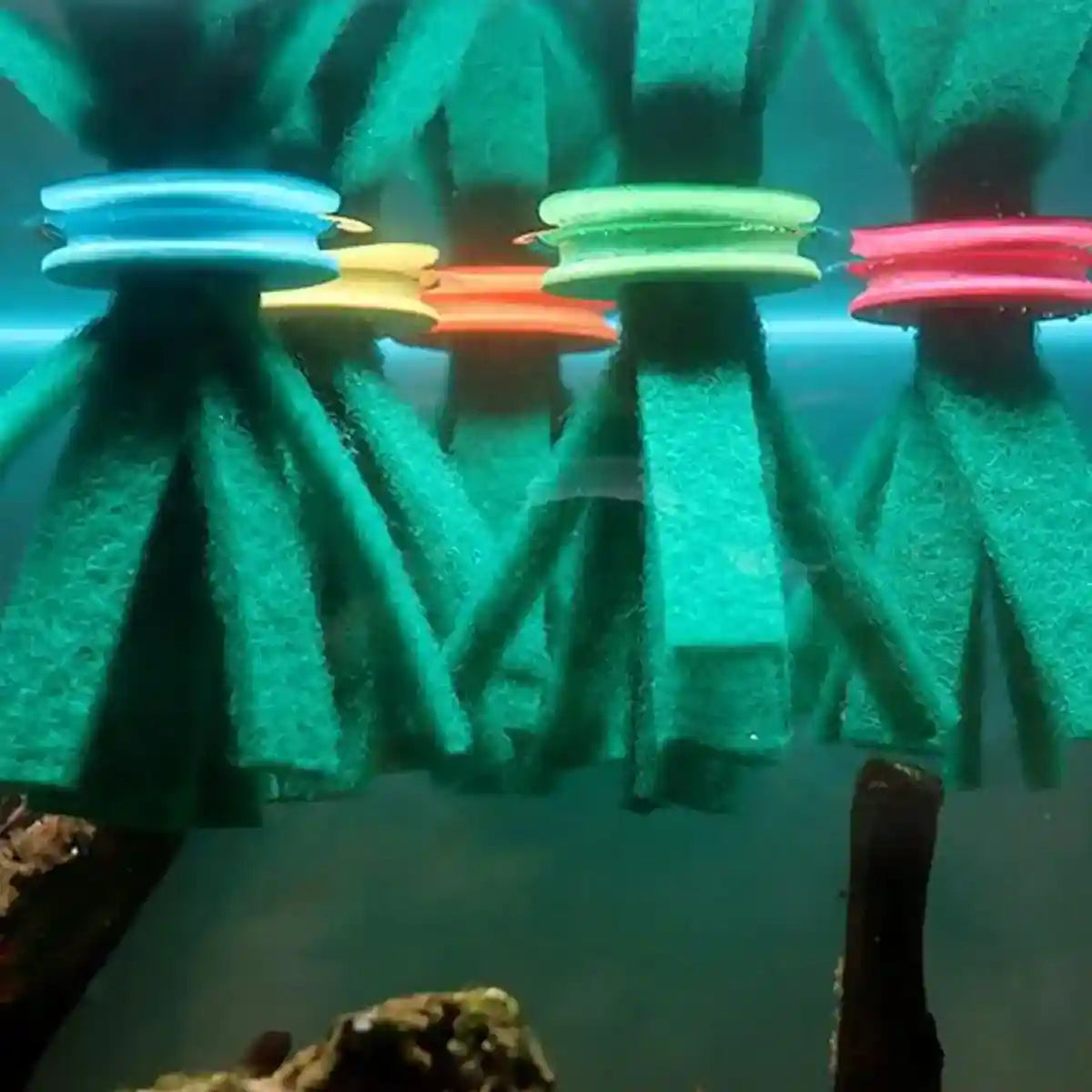 Fish Egg Collector 10PCS Aquarium Breeding Spawning Mop