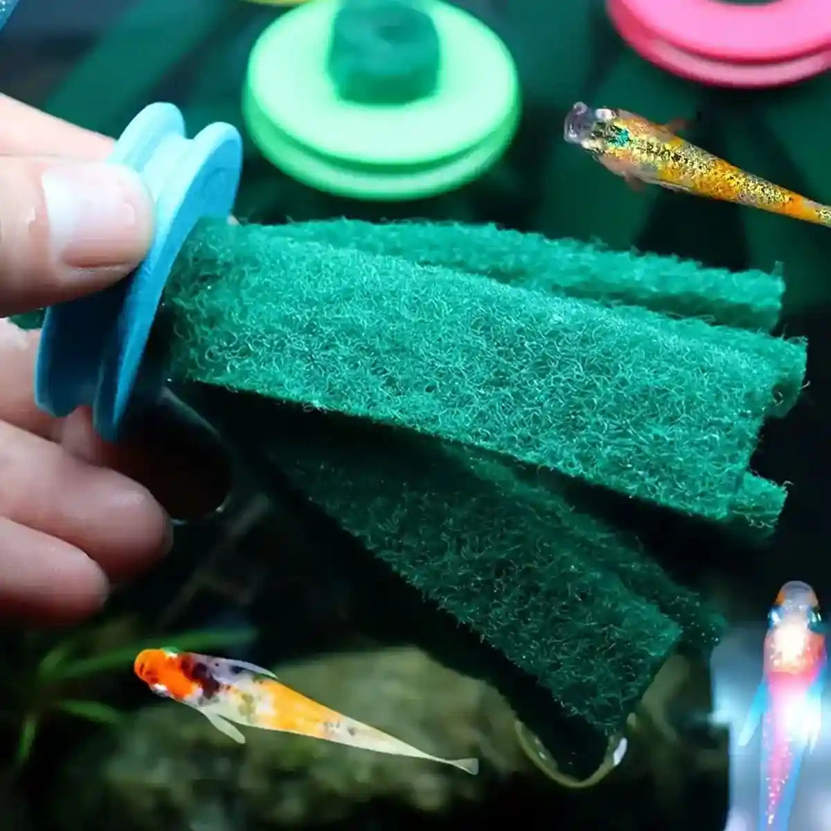 Fish Egg Collector 10PCS Aquarium Breeding Spawning Mop