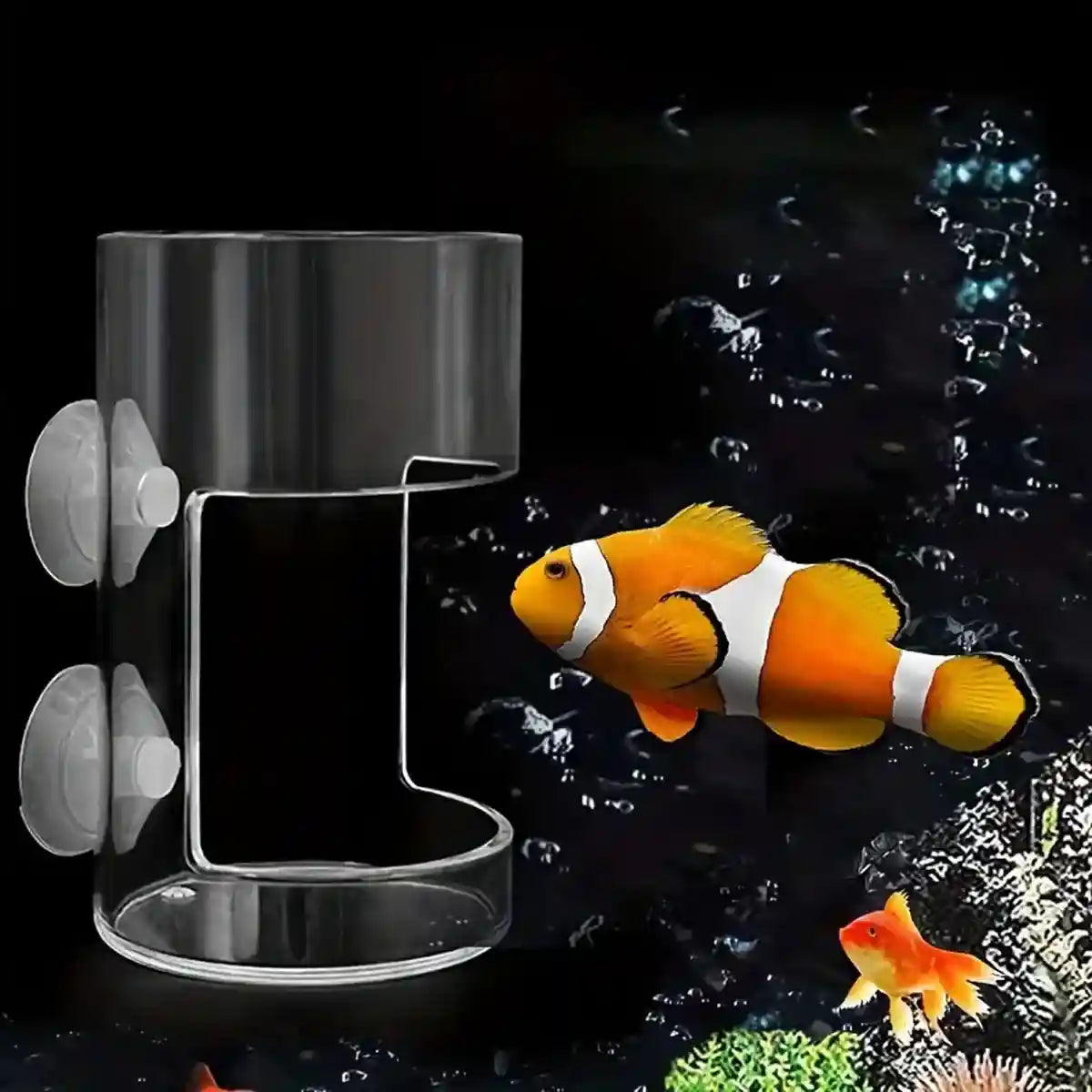 Fish Tank Feeder Box with Suction Cups