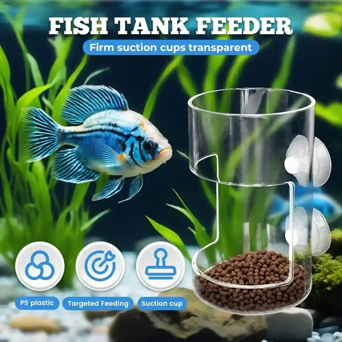 Fish Tank Feeder Box with Suction Cups
