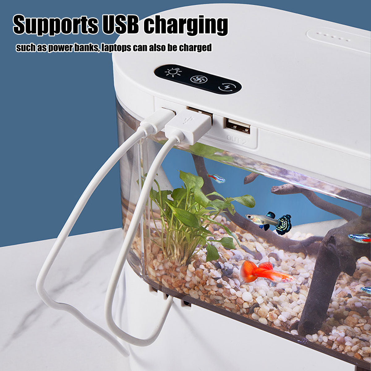 Mini Self-Circulating Desktop Fish Tank with LED & Filtration