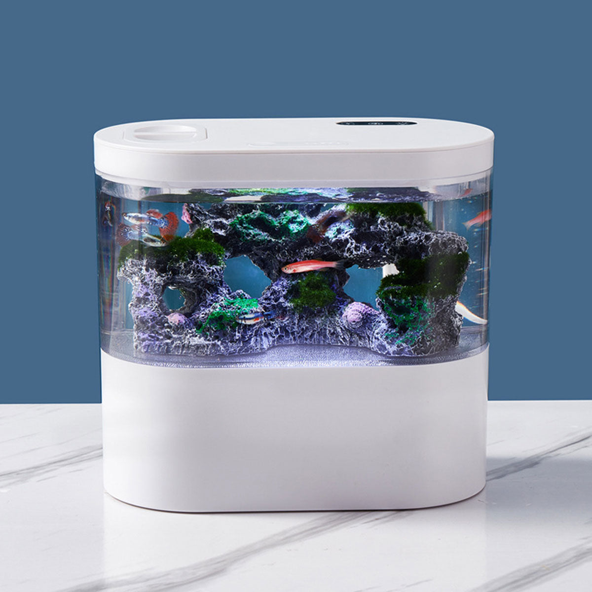 Mini Self-Circulating Desktop Fish Tank with LED & Filtration