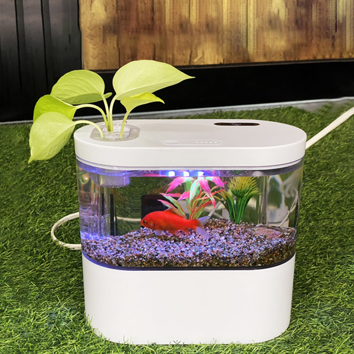 Mini Self-Circulating Desktop Fish Tank with LED & Filtration