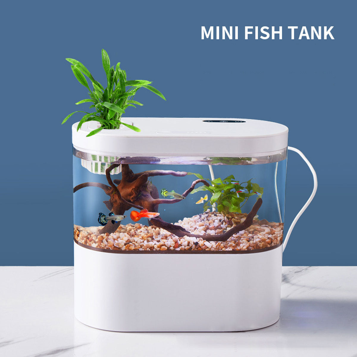 Mini Self-Circulating Desktop Fish Tank with LED & Filtration