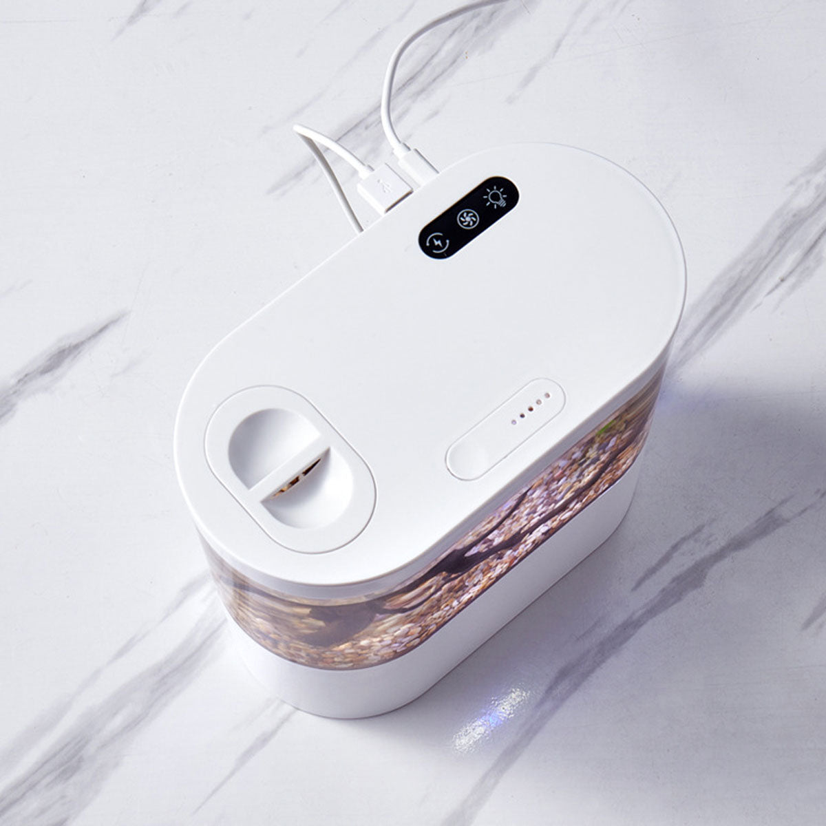 Mini Self-Circulating Desktop Fish Tank with LED & Filtration