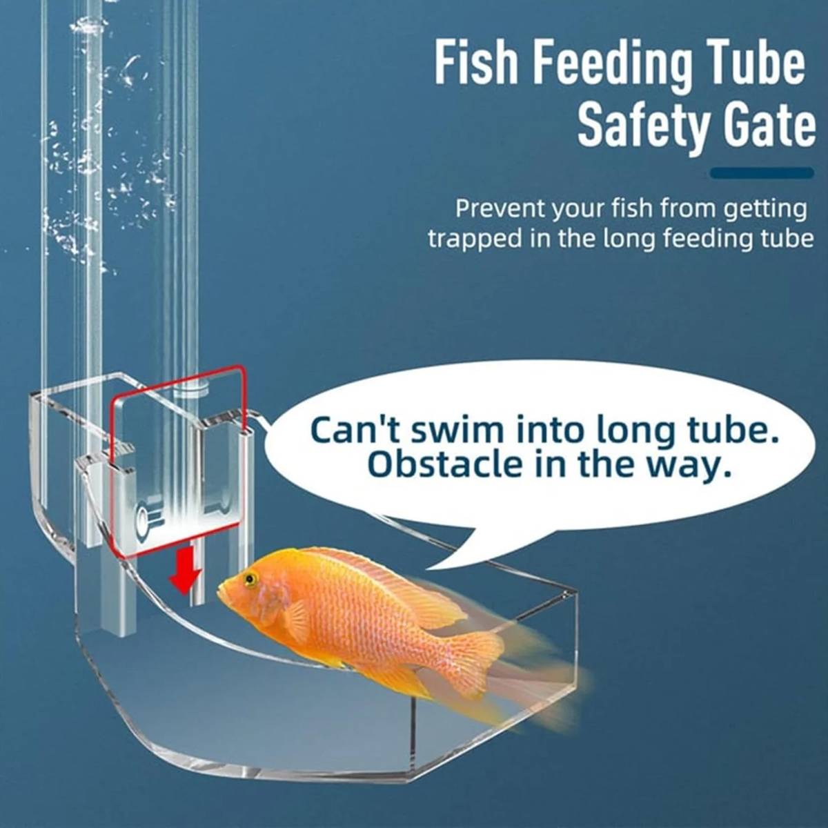 17cm aquarium feeding tube and ring for shrimp – product view 12