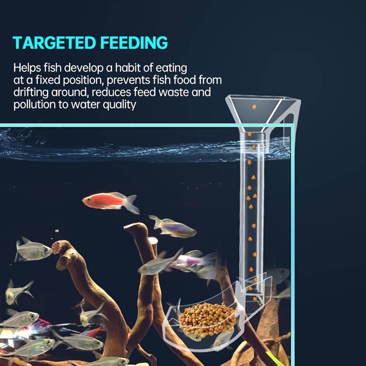 17cm aquarium feeding tube and ring for shrimp – product view 4