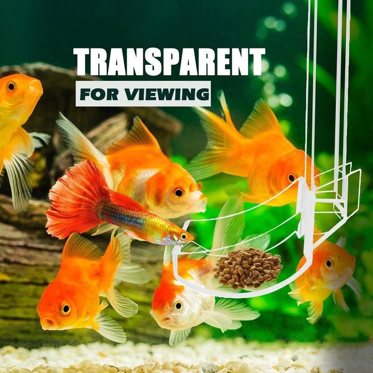 17cm aquarium feeding tube and ring for shrimp – product view 5