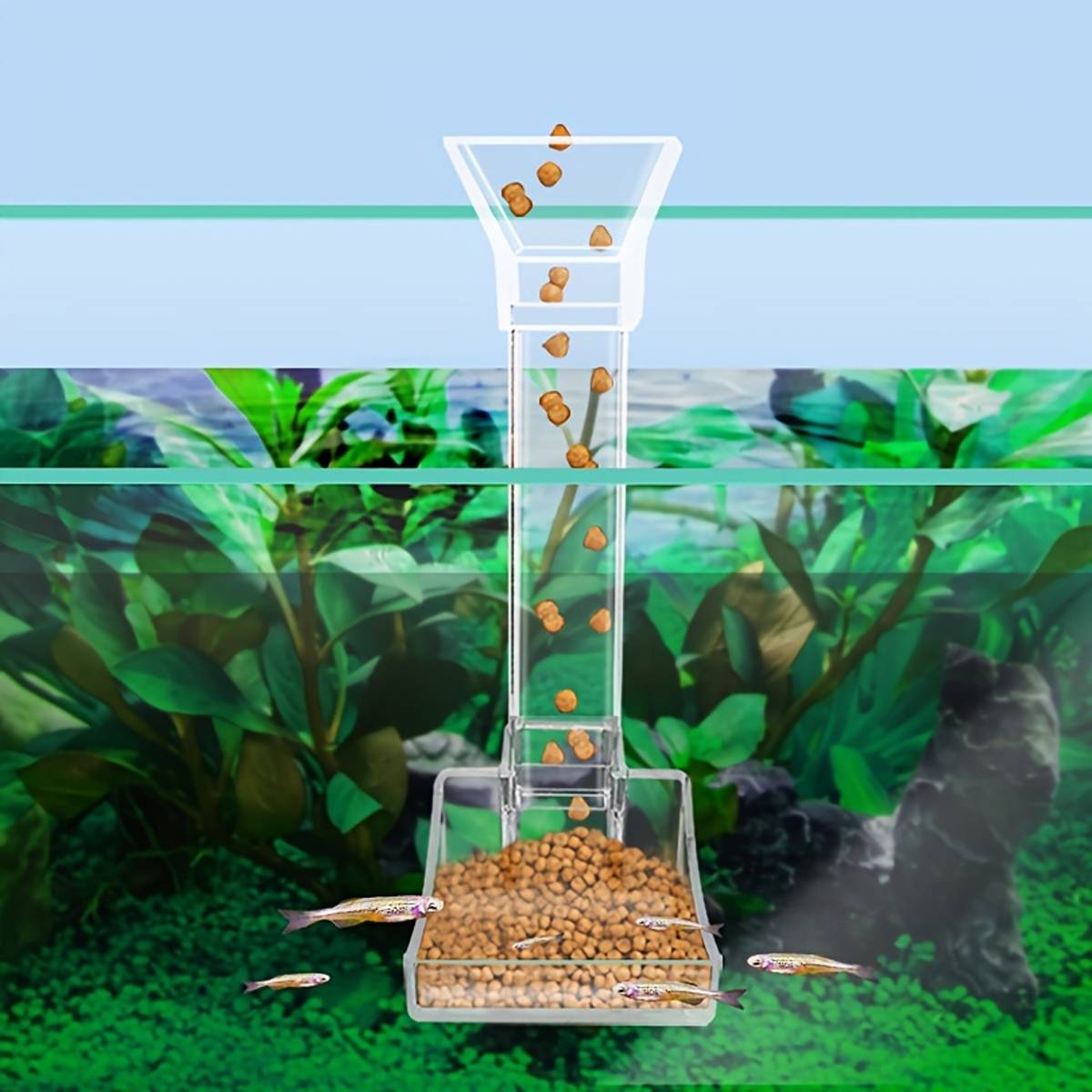 17cm aquarium feeding tube and ring for shrimp – product view 6