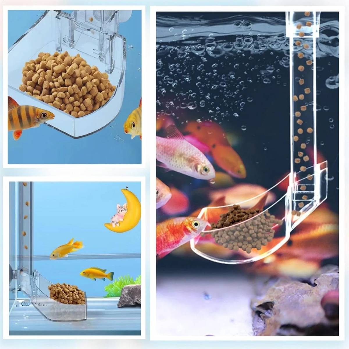17cm aquarium feeding tube and ring for shrimp – product view 10