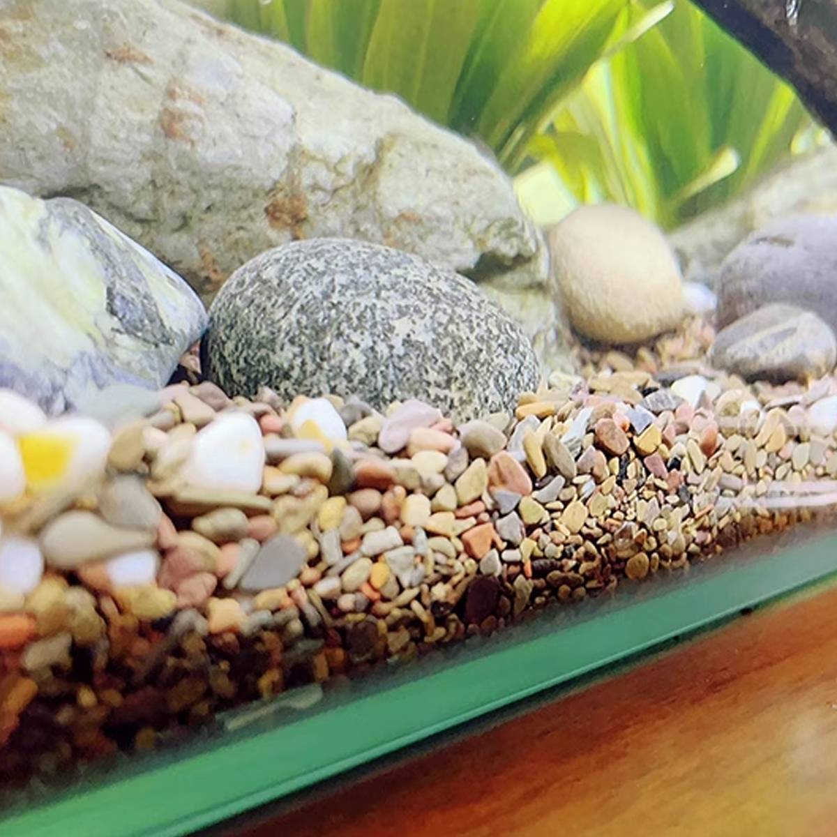 Yee Natural Stream Sand for Aquarium Substrate