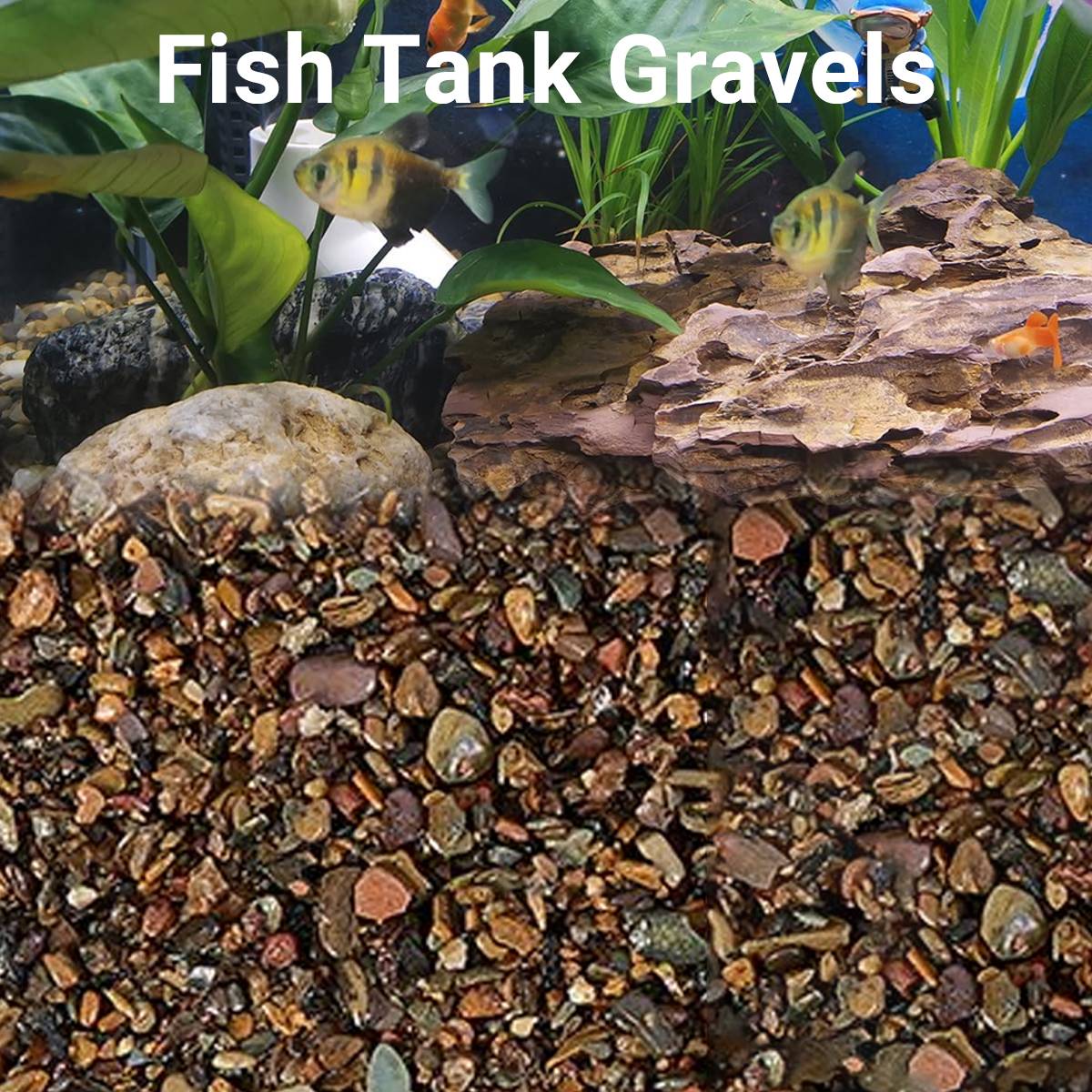 Yee Natural Stream Sand for Aquarium Substrate