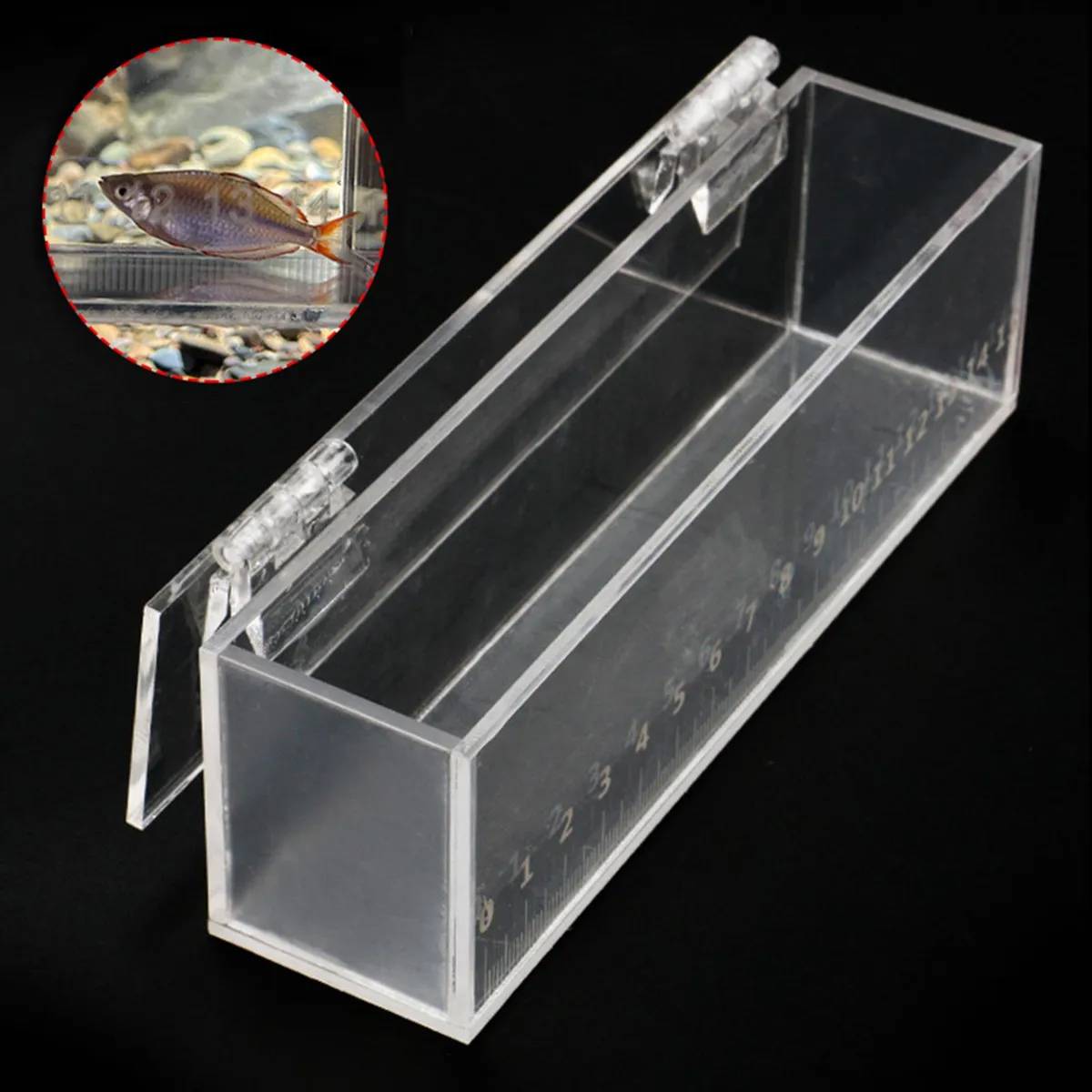 Fish Watching Box Acrylic Measuring Tank with Ruler