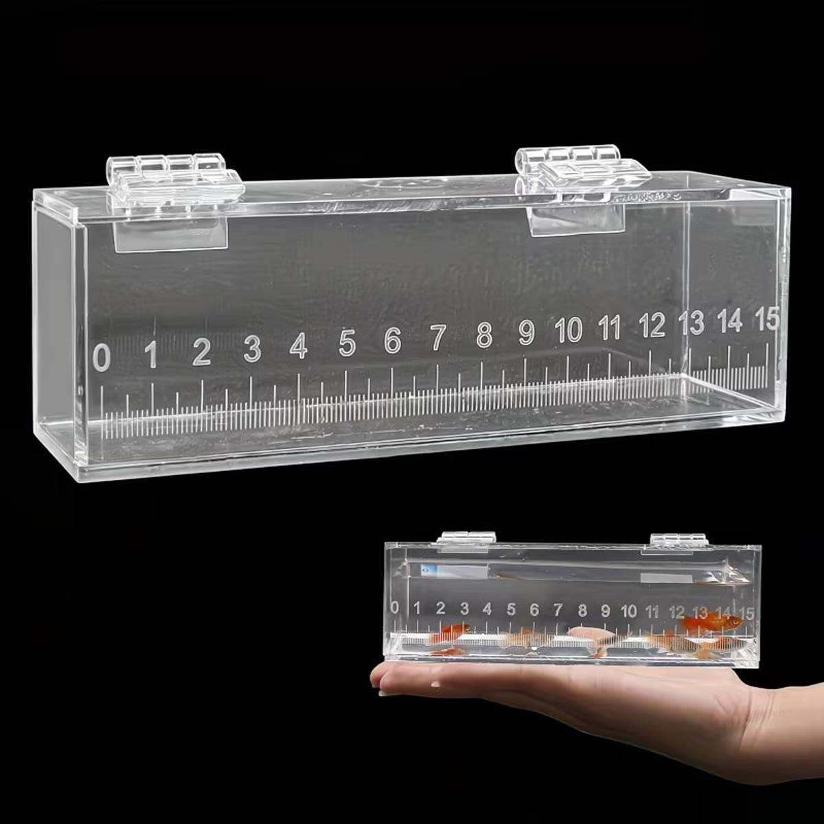 Fish Watching Box Acrylic Measuring Tank with Ruler