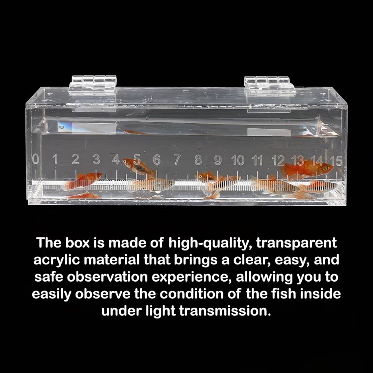 Fish Watching Box Acrylic Measuring Tank with Ruler