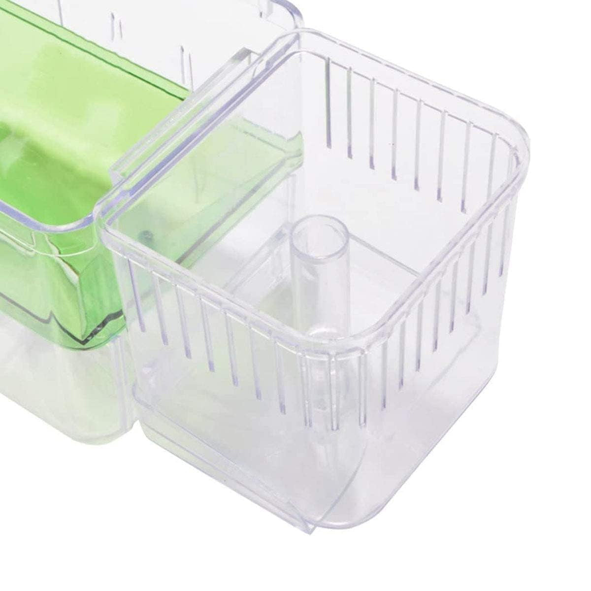 Double-Layer Fish Isolation Box