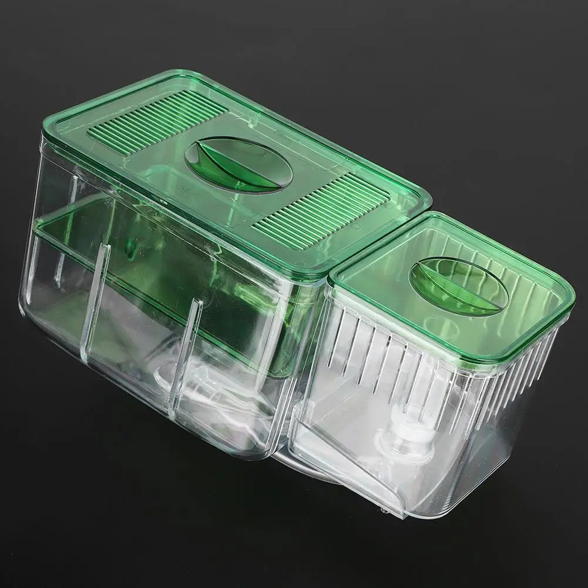 Double-Layer Fish Isolation Box